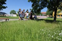 olšanské náměstí